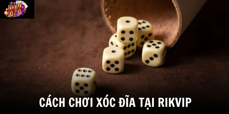 Hệ thống thiết kế quy trình chơi đơn giản, dễ hiểu