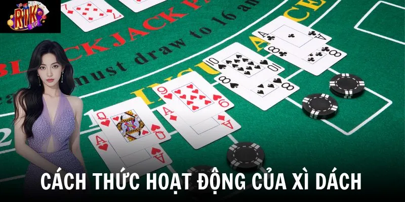 Nắm rõ cách thức hoạt động của trò chơi tại nhà cái