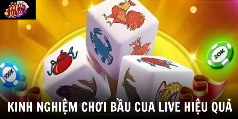 Bầu Cua Live - Trải Nghiệm Giải Trí Tương Tác Đỉnh Cao Tại Rikvip 4 Áp dụng chiến thuật phù hợp sẽ giúp bạn nâng cao hiệu quả lâu dài