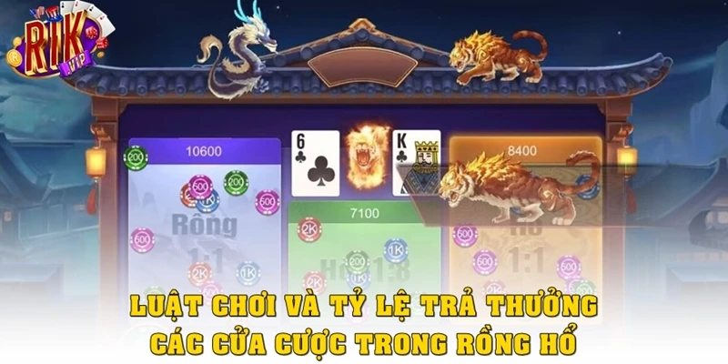 Luật chơi và tỷ lệ trả thưởng các cửa cược trong Rồng Hổ