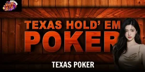 texas poker